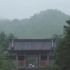 这就是意境！[4K] 仁和寺　京都の庭園