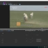 用Mocha pro 2019从视频中移除奔跑的马，快进到最后直接看结果。