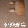 【瞎唱】《ring ring ring》原唱的嗷呜太可爱了叭