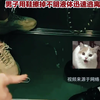 成都地铁一男子 猥亵一女生并用鞋子擦掉不明液体后逃离