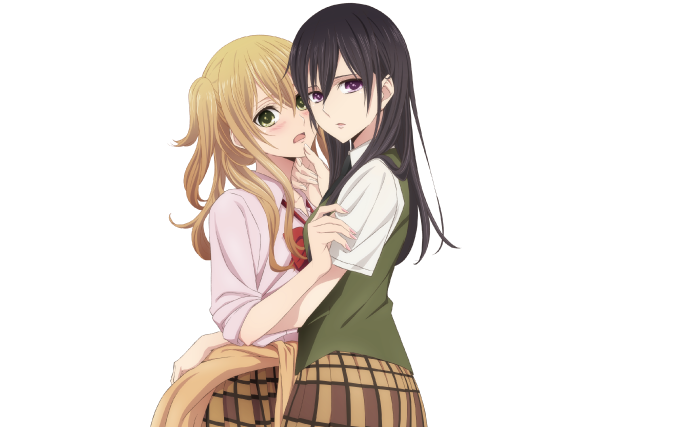 【アザレア】citrus~柑橘味香气~ op歌词特效【多字幕