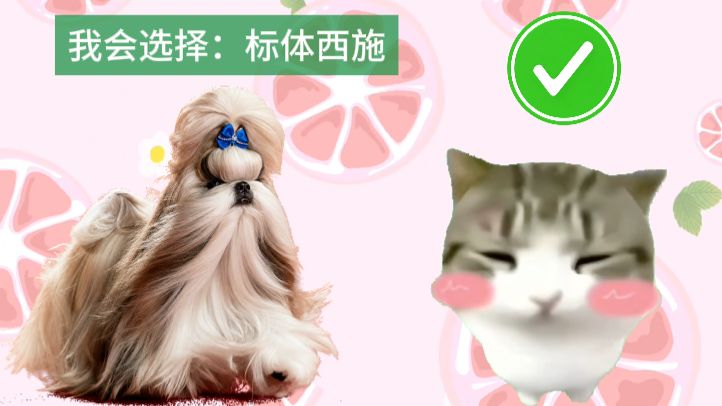 妙脆角猫meme喜欢的小狗be like
