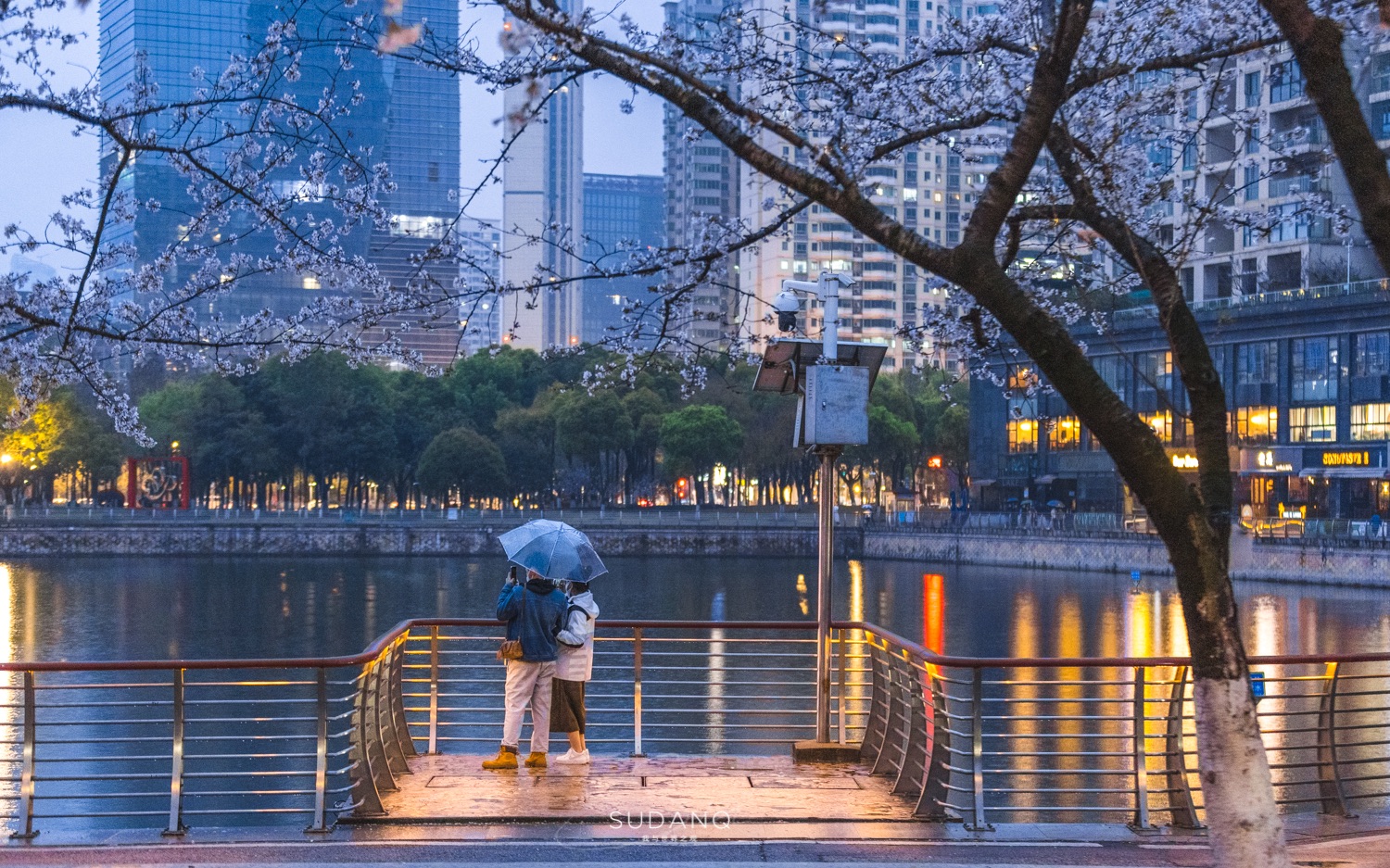 武汉夜樱胜地:除了东湖樱花园,汉口的西北湖公园也值得一看哔哩哔哩bilibili