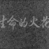 【剧情】生命的火花 (1962)【高清修复】