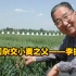 中国杂交小麦之父——李振声，成就比肩袁隆平，用小麦养活上亿人