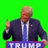 【绿幕素材】唐纳德·特朗普的手指举起绿幕背景素材无版权无水印［1080p HD］