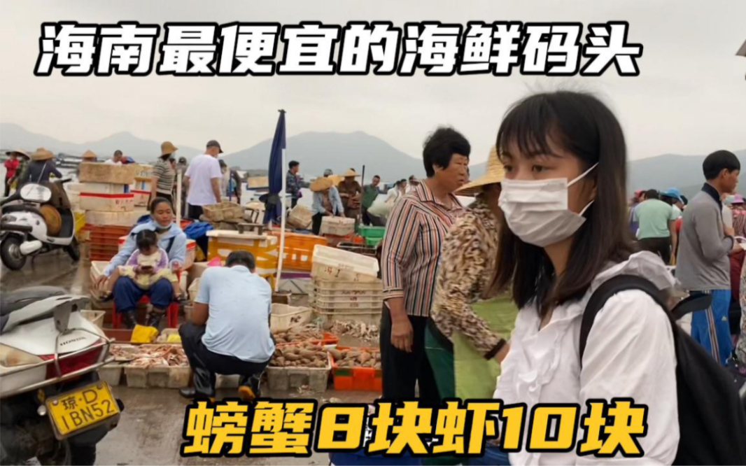 海南陵水新村镇码头，这里有海南最便宜的海鲜，螃蟹8块虾10块