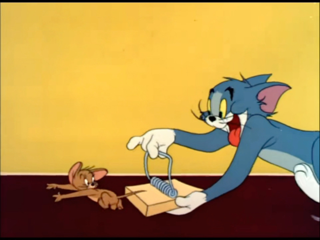 谁会拒绝一集猫片呢