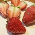 【总裁自制10】巧克力大草莓♥\(•▽•)/♥(伪)ASMR