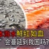 日本北海道发生“赤潮”现象，海水鲜红如血，会蔓延到我国吗？