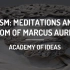 斯多葛主义 奥勒留的智慧和《沉思录》Stoicism- Meditations and the Wisdom of Ma