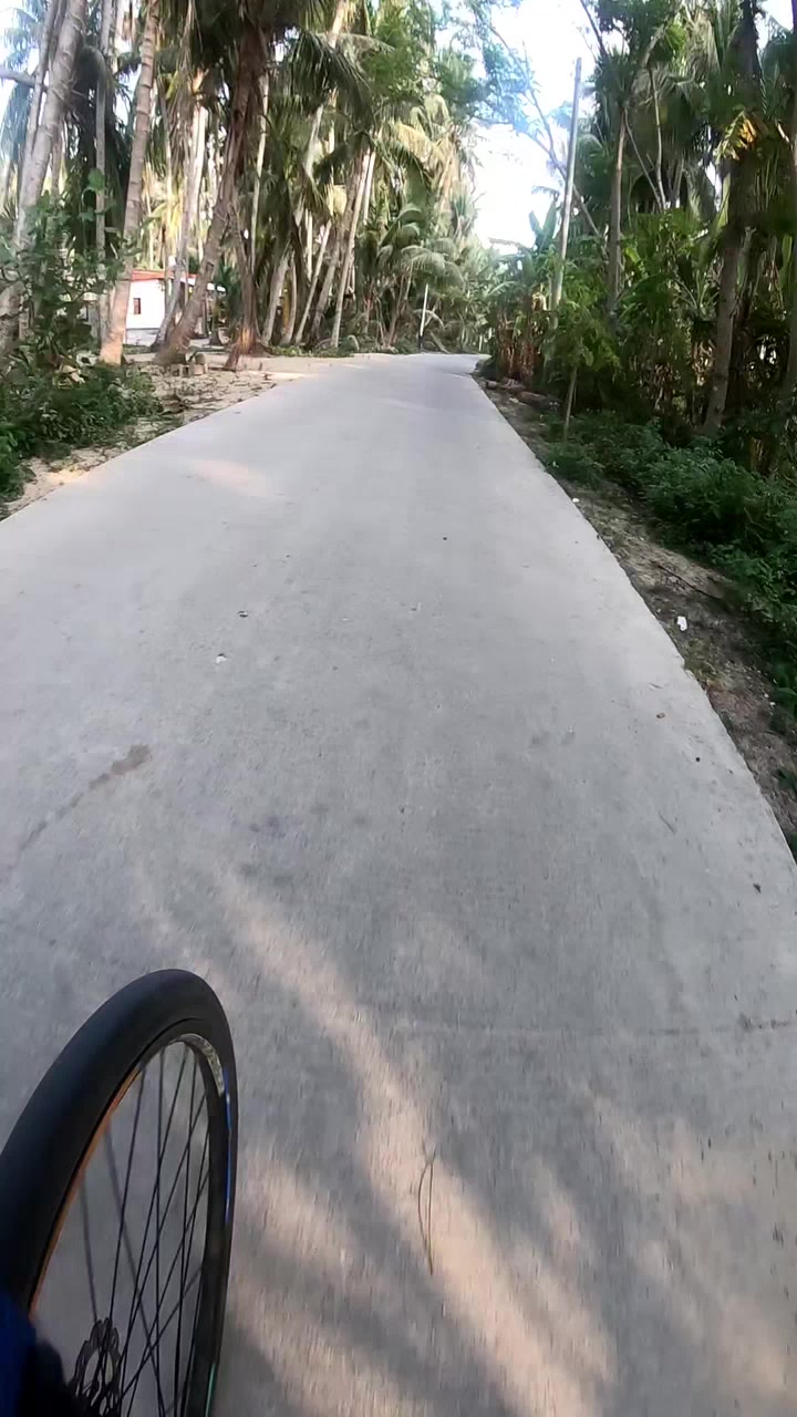海南东郊椰林骑行，结尾有惊喜