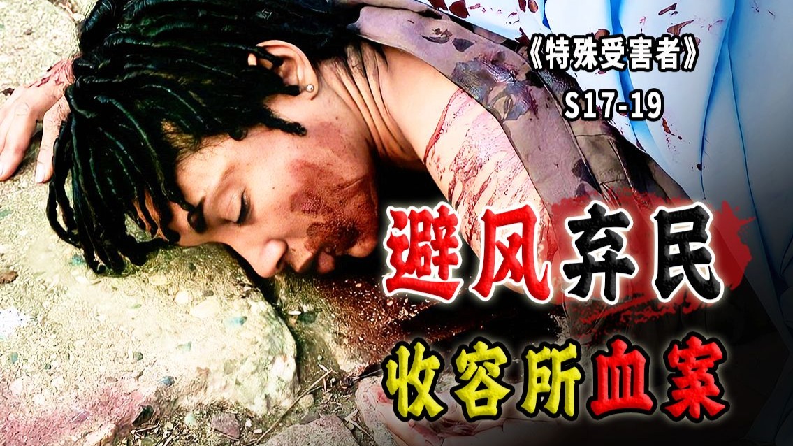 避风港中的弃民，罪恶的定时炸弹，完美的替罪羔羊《特殊受害者》S17-19