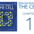 《细胞的分子生物学》第1章 细胞与基因组 配套视频（字幕重制版）