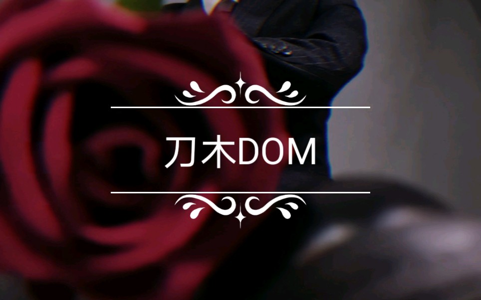 刀木dom还记得你的设定吗