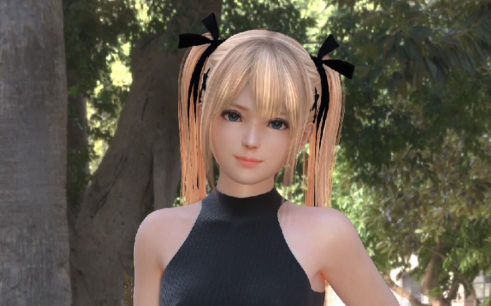 【死或生6/doa6】玛丽罗斯vs海盗nico