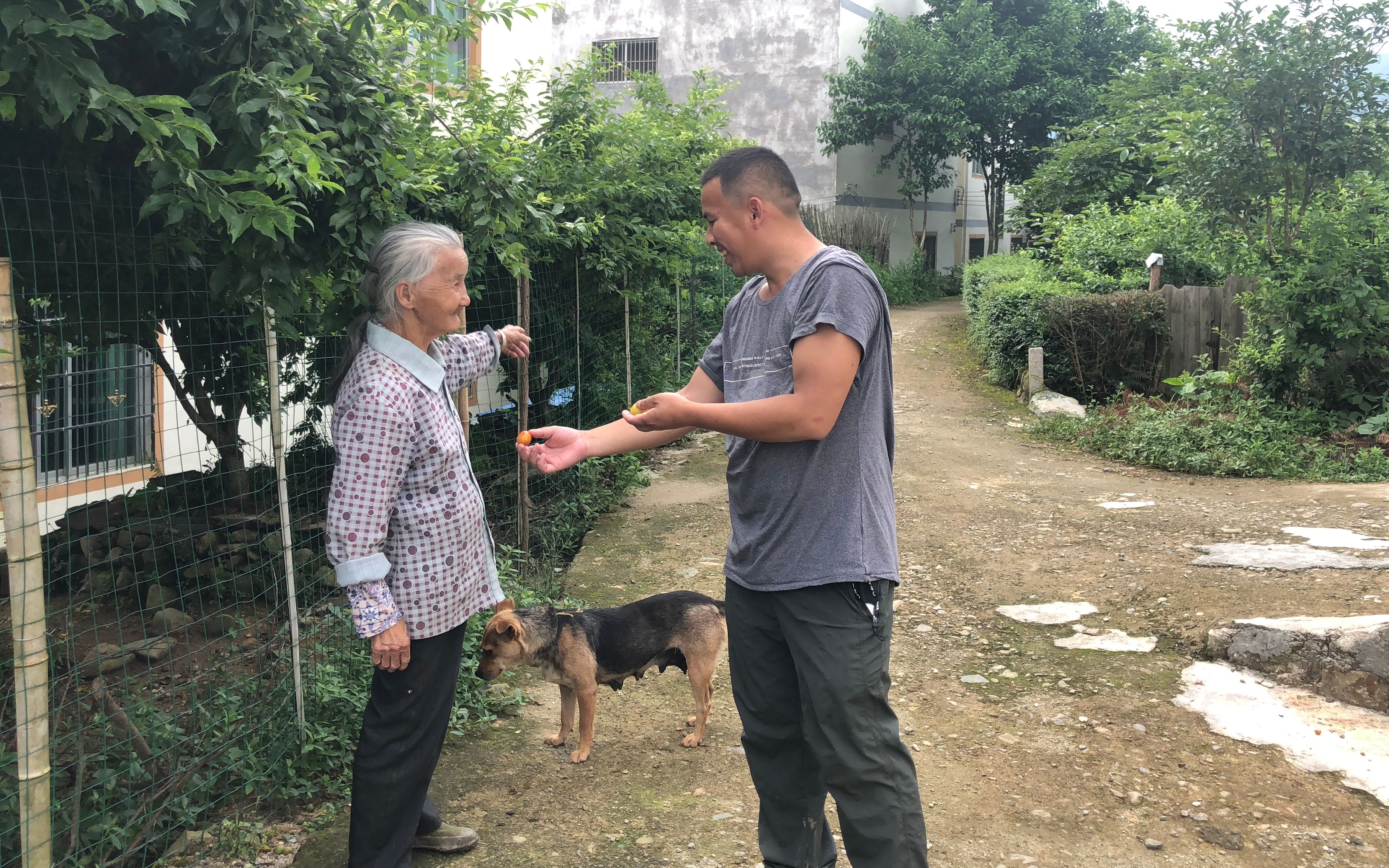 黑哥走到一个美丽的村庄，却只有老人居住，还有这么多水果没人摘