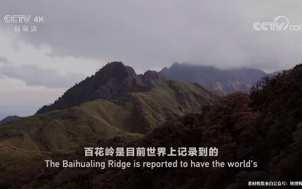 走进高黎贡山，带你看看可山地的垂直地带性规律
