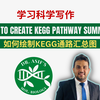 How to draw KEGG pathway summary plot | 如何绘制KEGG通路汇总图