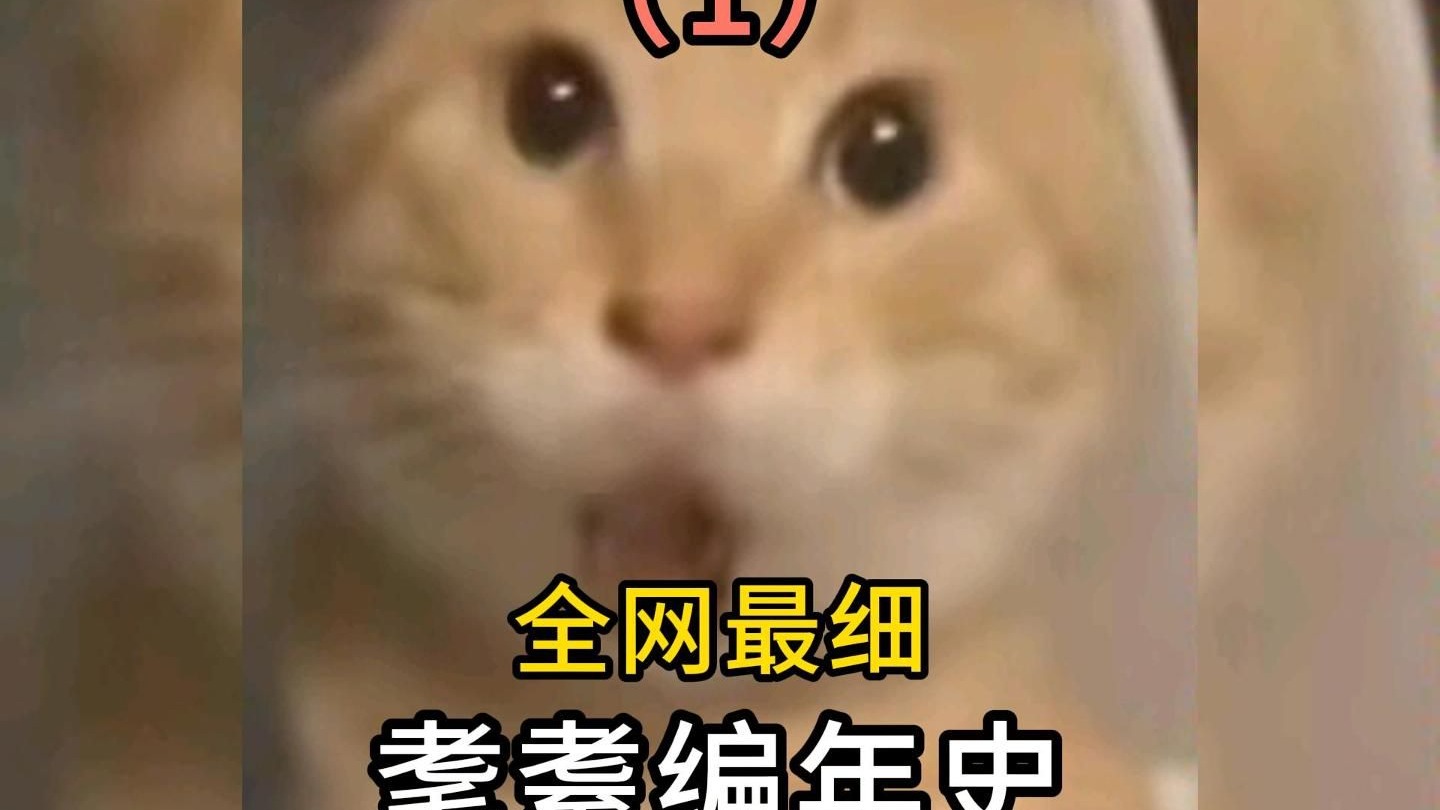 【补档】全网最细！《耄耋编年史》第一集