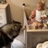 当你从监控看到，狗子悄悄溜进宝宝午睡的房间，猜它想干嘛？
