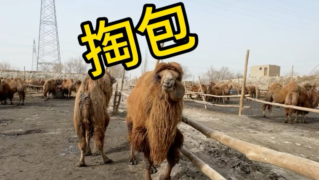再不掏一下 感觉要爆炸了