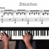 【钢琴】舒伯特 不朽古典名曲 小夜曲 Ständchen丨Paul Barton