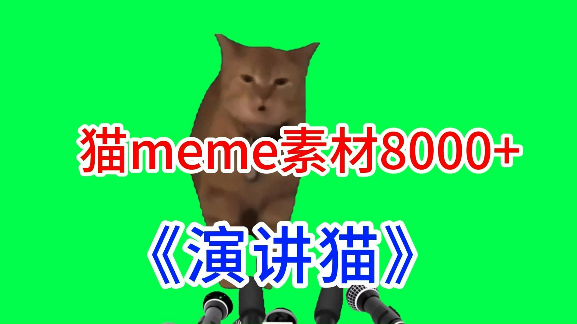 【演讲猫！】猫meme绿幕素材完整分享～，猫meme素材整合分享，合集分享！