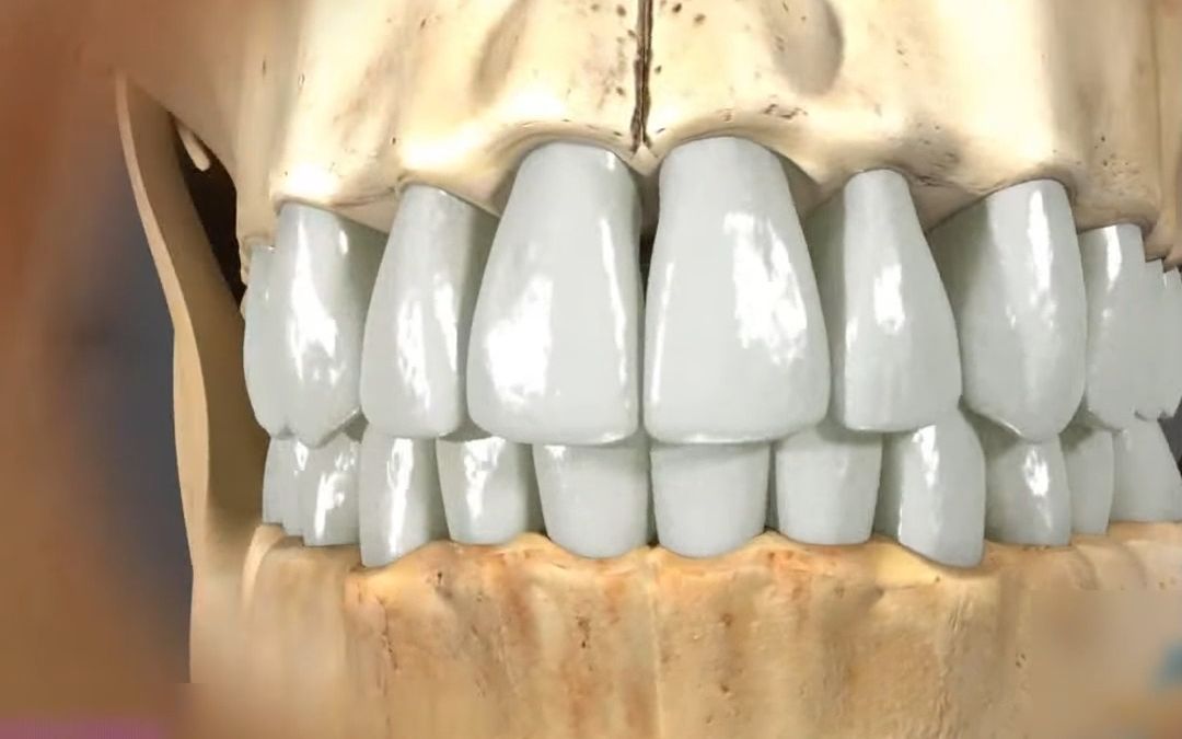闭着嘴的时候，上牙下牙一定要对齐才正常吗？上牙覆盖多少算正常