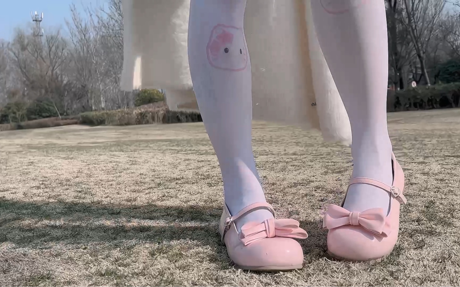 The latest video of [Softie Cat Cat has become an adult] is here, check it out!