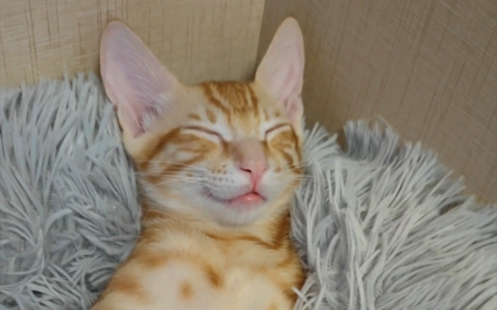 自己接生的宝贝就是不一样