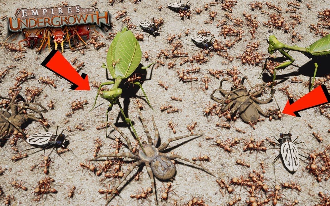 《地下蚁国》最有趣的关卡 - 上帝之手