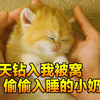 早上男子起床，发现一只小奶猫睡在自己被窝，究竟小奶猫哪来的呢