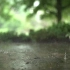 超高清视频素材合集-下雨