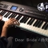 【钢琴】西野カナ-Dear Bride [Presso]