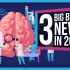 【SciShow Psych】2019年关于大脑我们所知道的三件大事