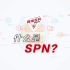 数字经济时代，SPN如何保障数据在网络中的传输？又能提供哪些服务？一分钟视频带你了解SPN技术！
