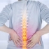 【董安立】美式脊椎矫正师快速教学脊椎骨性标志