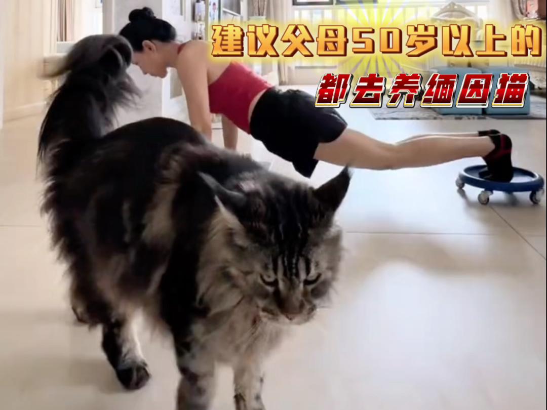 养吧！！！一养一个不吱声！！！