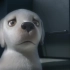 YouTube上很火的导盲犬动画片