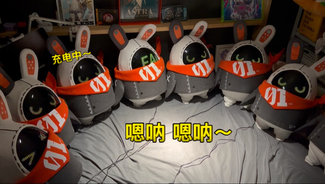 这下是真养了一屋子伊埃斯邦布了