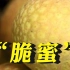 历时15年，世界首个龙眼与荔枝杂交的新品种在广州诞生：取名“脆蜜”。