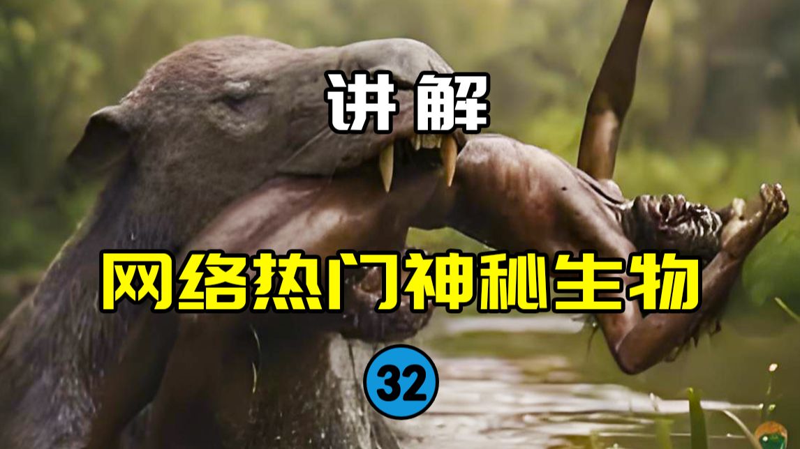 【网络热门神秘生物32】澳大利亚最诡异的水怪？本耶普的真面目到底是什么？