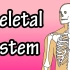 骨骼系统 | 人体解剖学 | 医学动画 | 双语字幕 | 医学英语