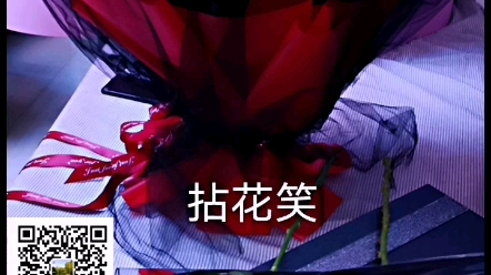 52朵玫瑰花束 哔哩哔哩 つロ干杯 Bilibili