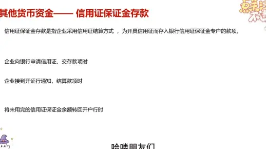 其他货币资金—— 信用证保证金存款