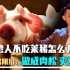 台湾人不吃莱猪怎么办？台艺人出阴招：做成肉松 卖给大陆