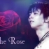 【羽生结弦】【MAD】The Rose