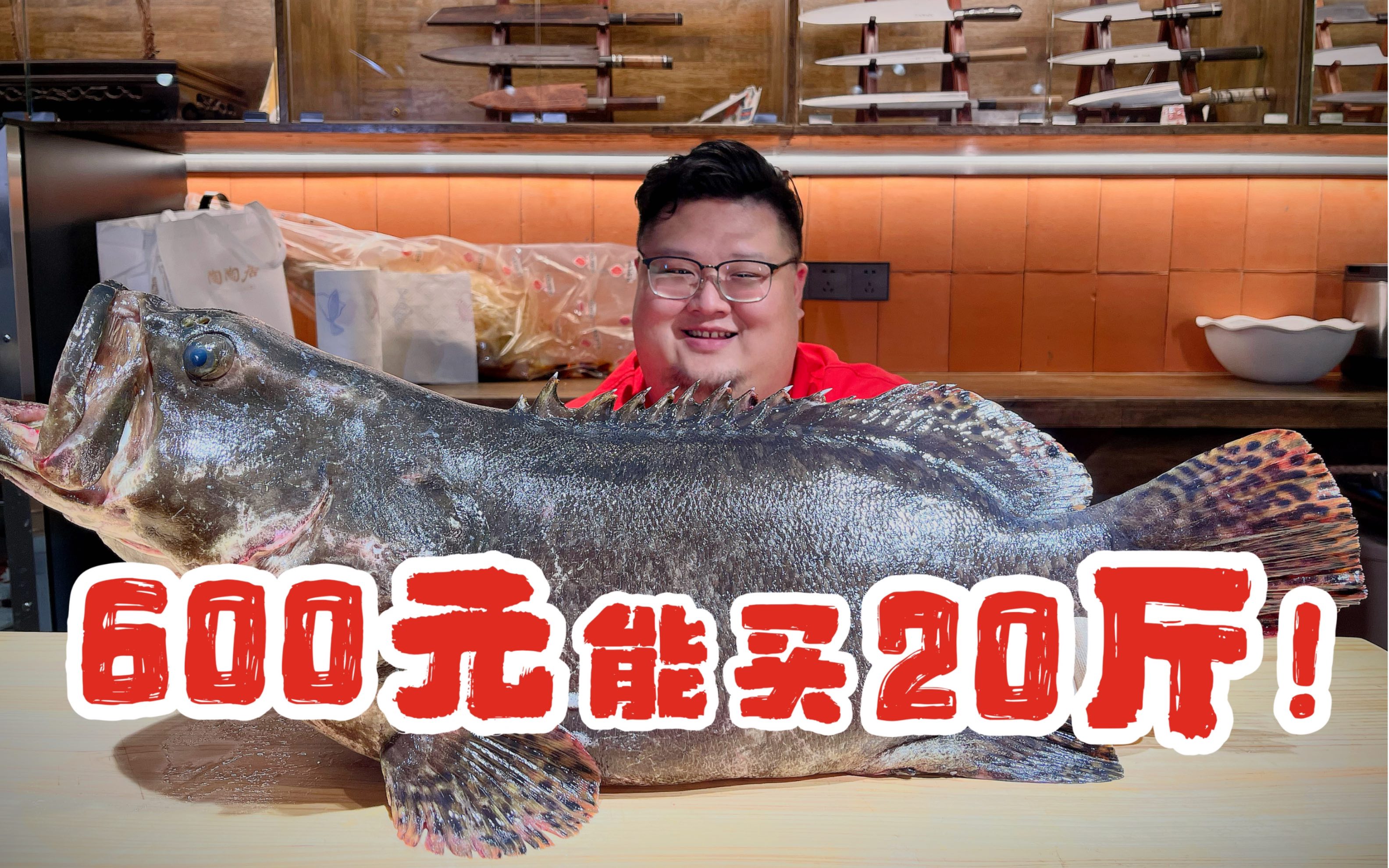 别看不起养殖鱼，只要够大，一样能称霸～～～便宜又大碗的龙趸石斑鱼！！！