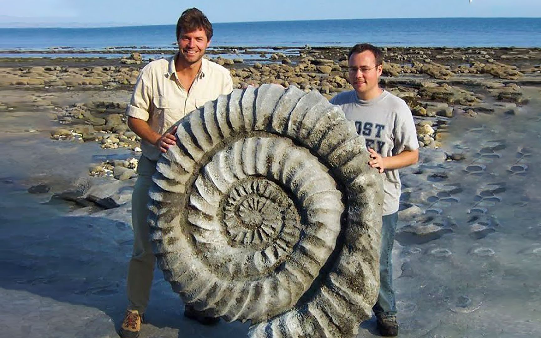 男子野外发现不明巨物，样子有点像蜗牛，专家说这是史前动物